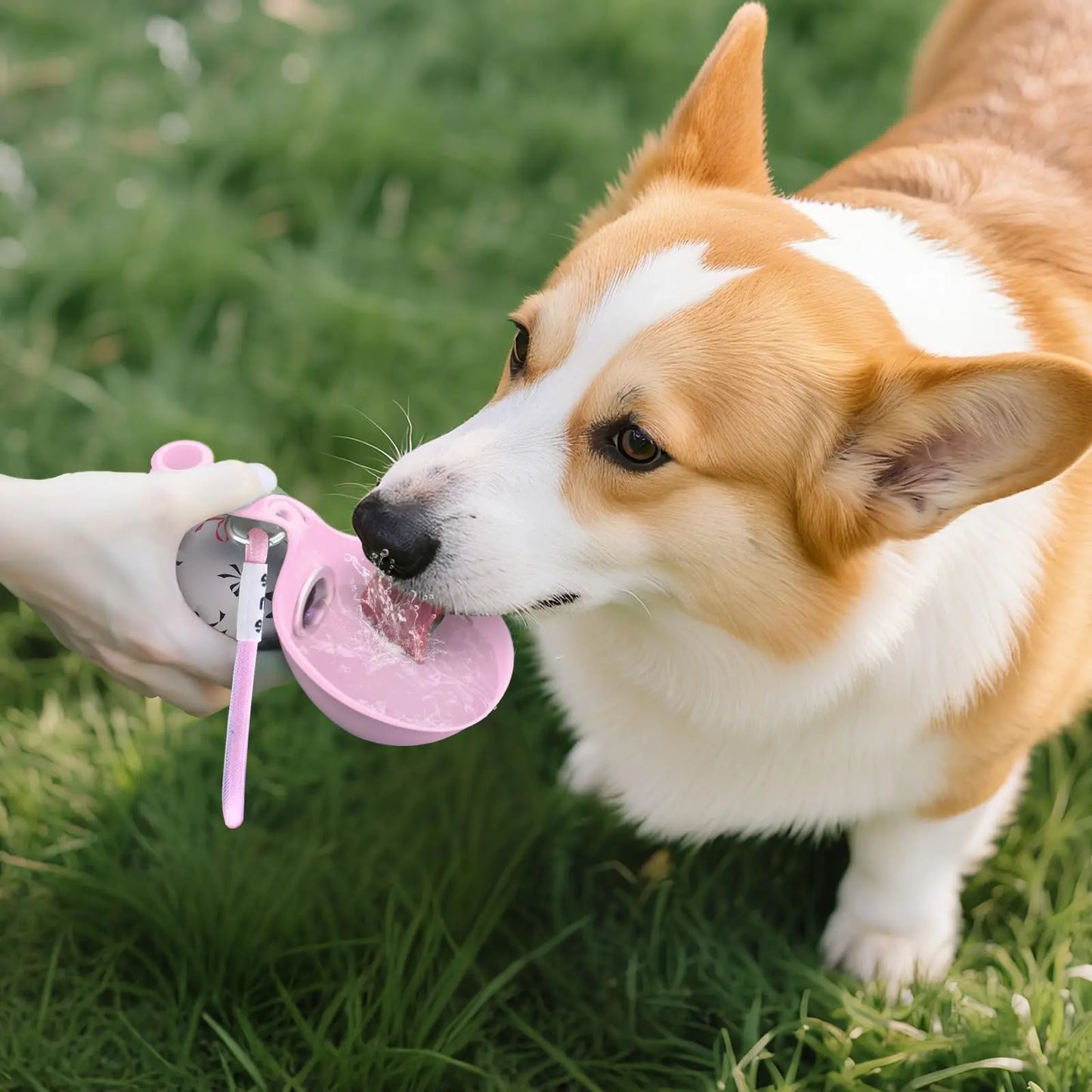 Stainless Steel Pet Travel Water Bottle