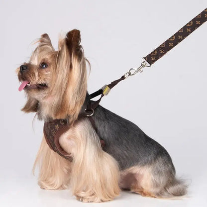 Designer Dog Harness & Leash Set – Classic Pattern Breathable Mesh Walking Set for Small Dogs