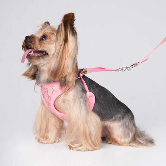 Designer Dog Harness & Leash Set – Classic Pattern Breathable Mesh Walking Set for Small Dogs