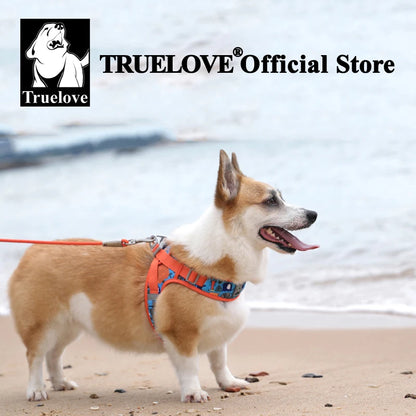 Floral Mesh Harness – Breathable All-Weather Pet Walking Harness
